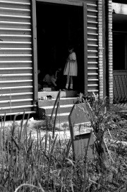 Photo by Fiona Lloyd Davies