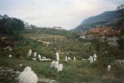 Photo by Maurizio Avogadri Ramakavya
