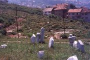 Photo by Maurizio Avogadri Ramakavya