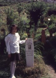 Photo by Maurizio Avogadri Ramakavya