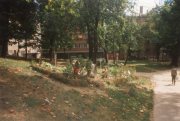 Photo by Maurizio Avogadri Ramakavya