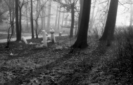 Photo by Mirza Ajanovic