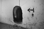 Photo by Tomas Muscionico