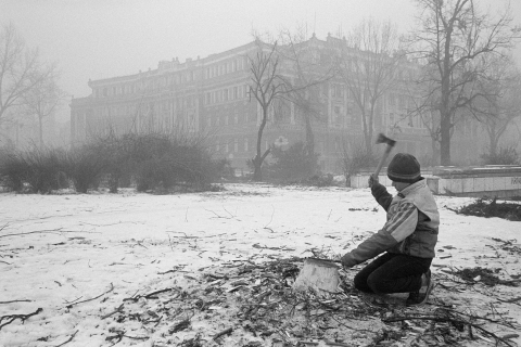 Photo by Zoran Filipovic