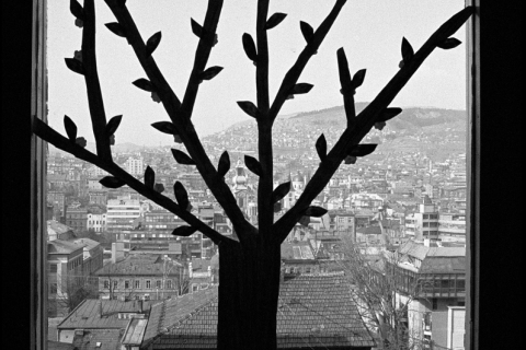 Photo by Zoran Filipovic